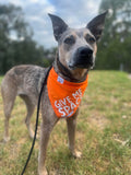 Orange Byron & Co Give Me Space Awareness Bandana