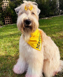 Yellow Byron & Co Nervous Awareness Bandana