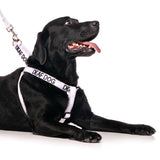 FDC -L/XL Strap Harness
