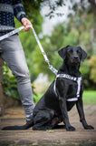 FDC -L/XL Strap Harness