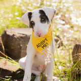 Yellow Byron & Co Adopt Me Awareness Bandana