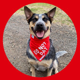 Red Byron & Co Do Not Pat Awareness Bandana