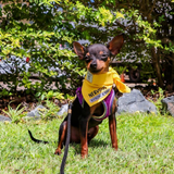 Yellow Byron & Co Nervous Awareness Bandana