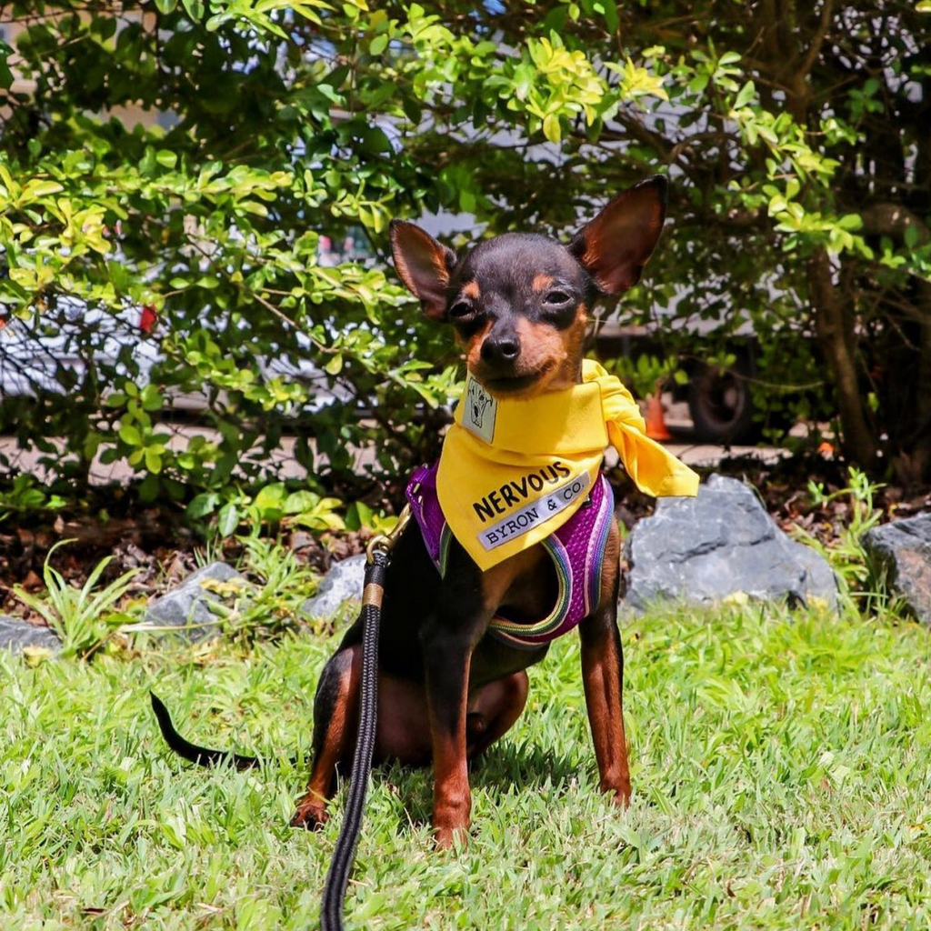 Yellow Byron Co Nervous Awareness Bandana